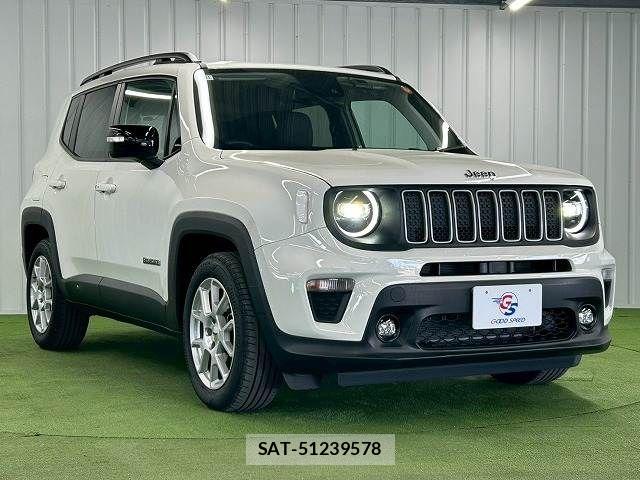 Jeep RENEGADE 2024-11 5869796-15