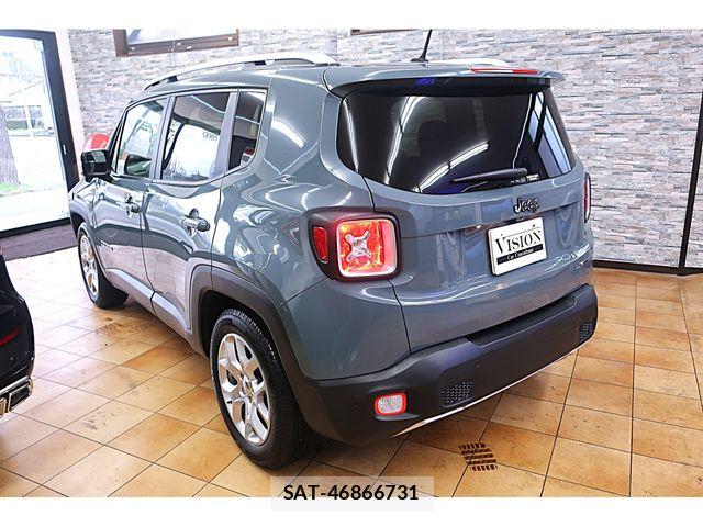 Jeep RENEGADE 2017-12 6001547-5