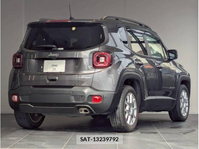 Jeep RENEGADE 2020-12 6612449-3