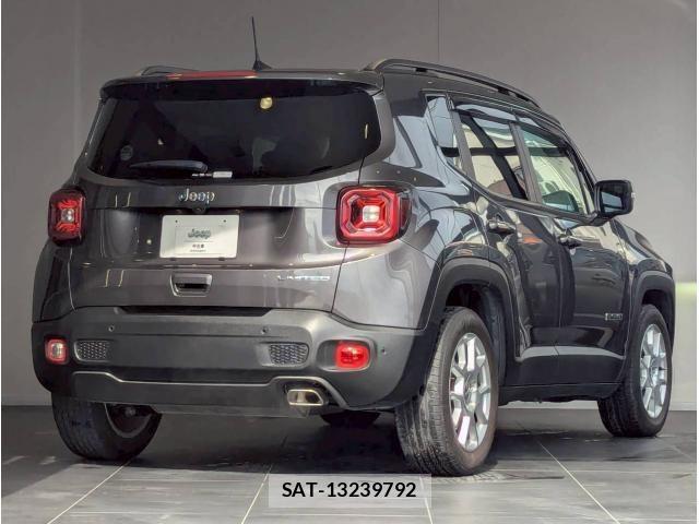 Jeep RENEGADE 2020-12 6612449-4