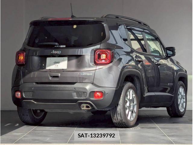 Jeep RENEGADE 2020-12 6612449-5