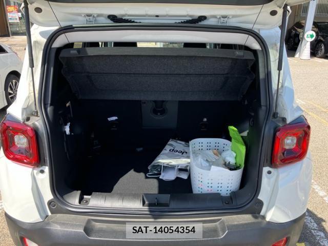 Jeep RENEGADE 2024-03 6612456-11