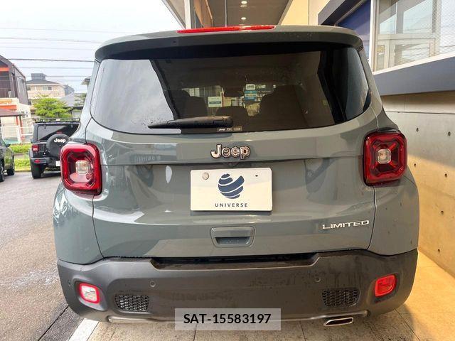 Jeep RENEGADE 2019-03 6716373-16