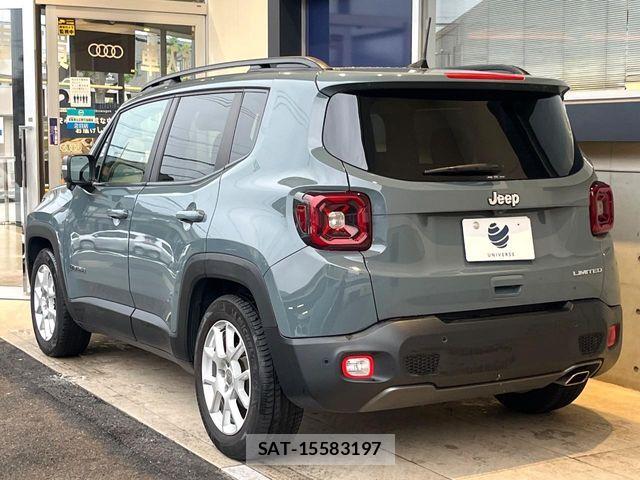 Jeep RENEGADE 2019-03 6716373-18