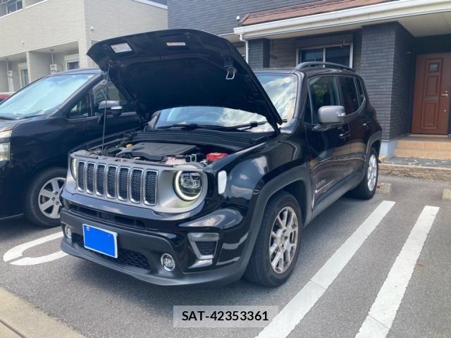 Jeep RENEGADE 2019-05 6906881-0