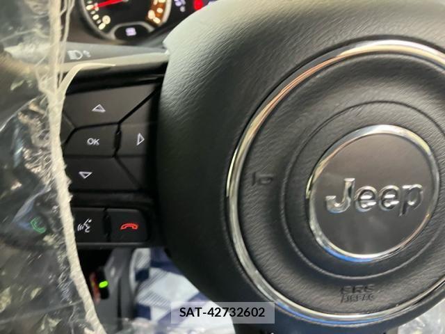 Jeep RENEGADE 2019-06 7020663-16
