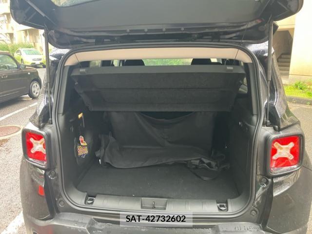Jeep RENEGADE 2019-06 7020663-7
