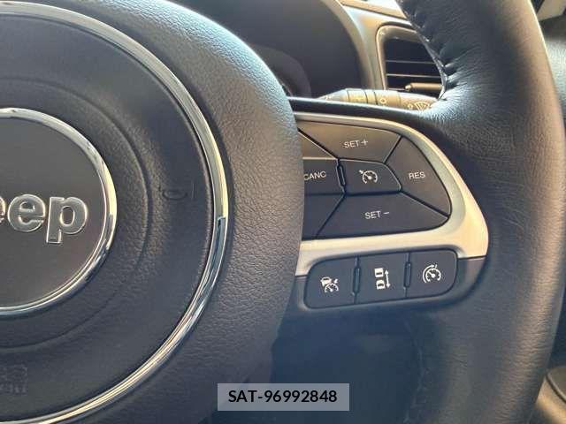 Jeep RENEGADE 2024-07 7220061-13