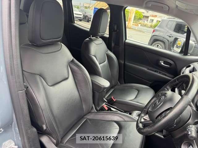 Jeep RENEGADE 2019-05 7220049-9