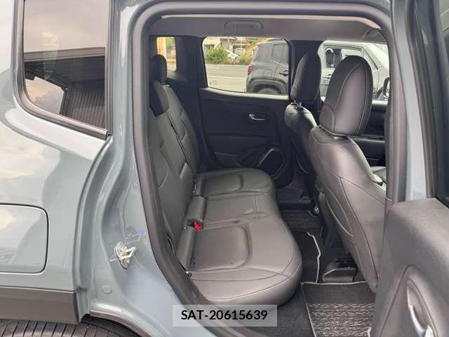 Jeep RENEGADE 2019-05 7220049-10