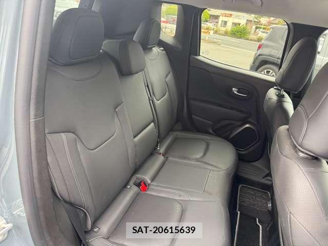 Jeep RENEGADE 2019-05 7220049-11