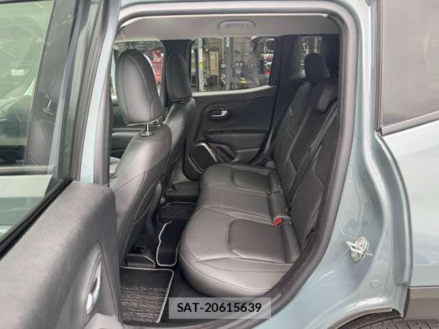 Jeep RENEGADE 2019-05 7220049-14