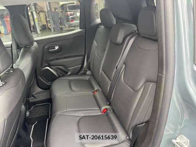 Jeep RENEGADE 2019-05 7220049-15