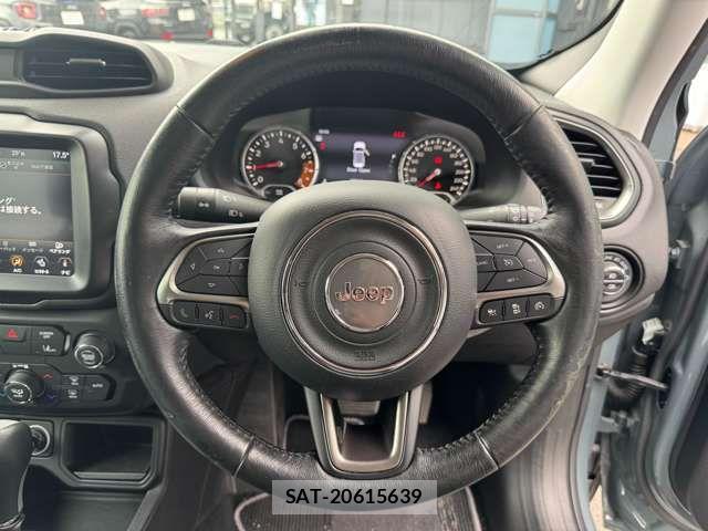 Jeep RENEGADE 2019-05 7220049-17
