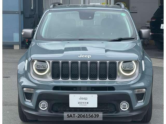 Jeep RENEGADE 2019-05 7220049-1
