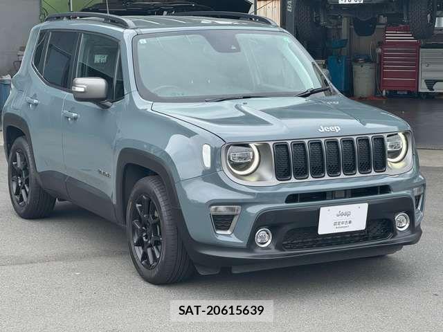 Jeep RENEGADE 2019-05 7220049-2