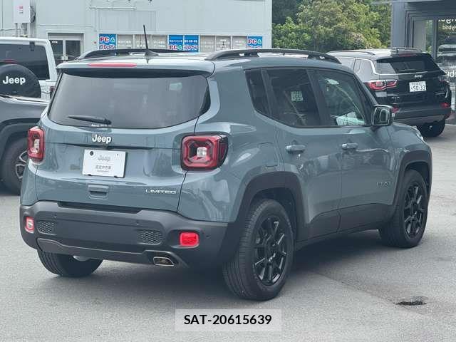 Jeep RENEGADE 2019-05 7220049-3
