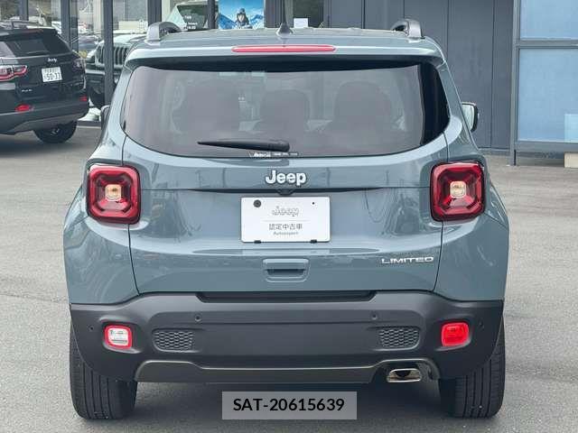 Jeep RENEGADE 2019-05 7220049-4