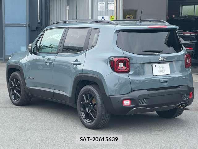 Jeep RENEGADE 2019-05 7220049-5