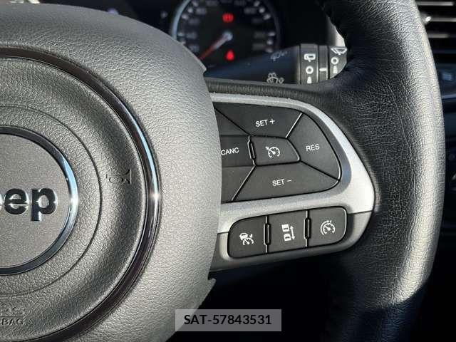 Jeep RENEGADE 2024-07 7220062-19