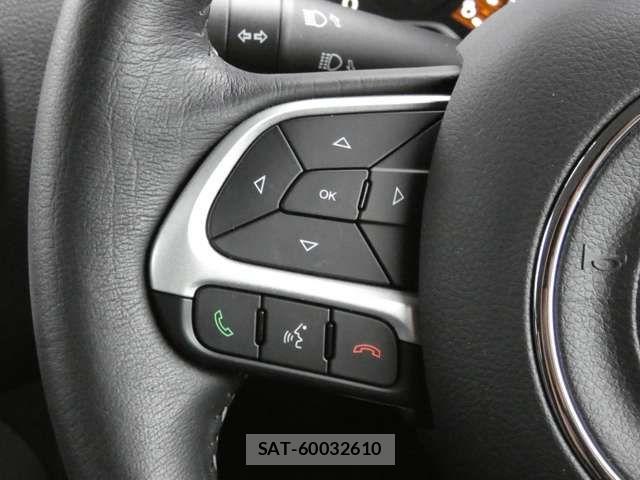 Jeep RENEGADE 2023-12 7220060-6