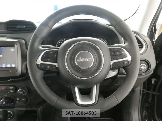 Jeep RENEGADE 2019-06 7251115-24
