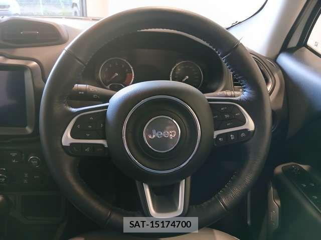 Jeep RENEGADE 2024-06 7327632-11