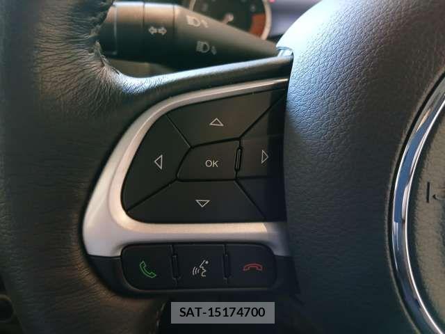 Jeep RENEGADE 2024-06 7327632-12