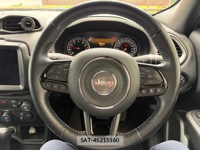 Jeep RENEGADE 2021-06 7501021-11