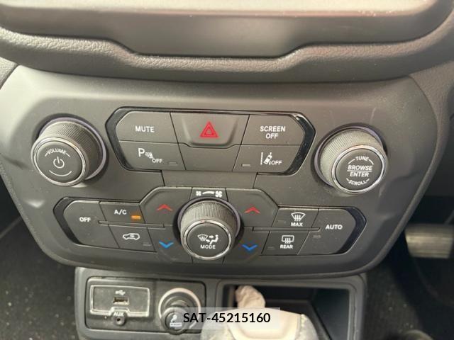 Jeep RENEGADE 2021-06 7501021-17
