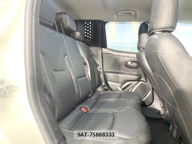 Jeep RENEGADE 2019-06 7501019-12