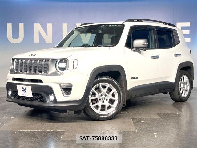 Jeep RENEGADE 2019-06 7501019-13