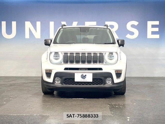 Jeep RENEGADE 2019-06 7501019-14