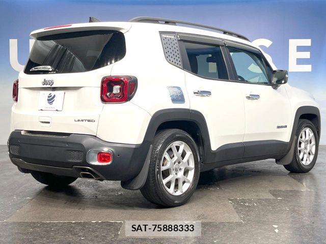 Jeep RENEGADE 2019-06 7501019-16