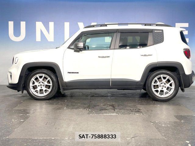 Jeep RENEGADE 2019-06 7501019-17
