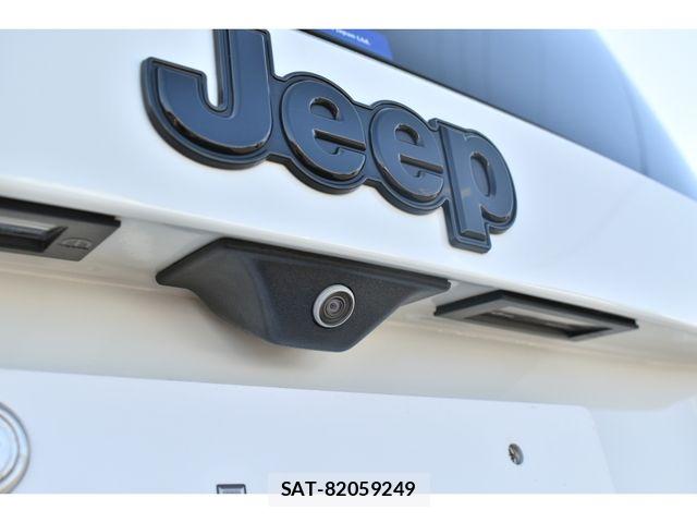 Jeep RENEGADE 2023-04 7724396-24