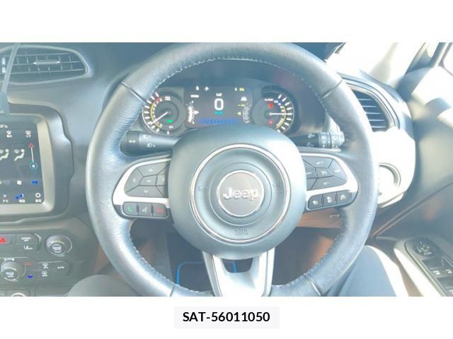 Jeep RENEGADE 2024-03 8036113-15