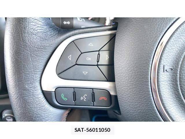 Jeep RENEGADE 2024-03 8036113-16