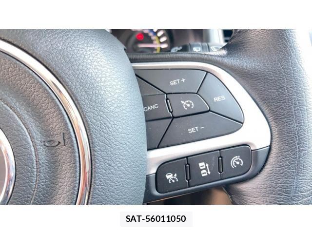 Jeep RENEGADE 2024-03 8036113-17