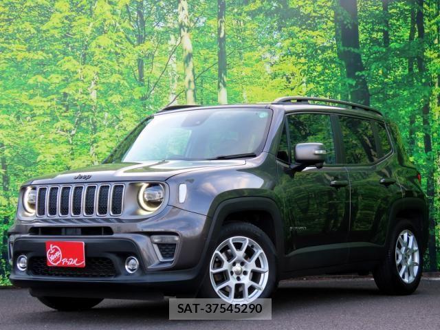 Jeep RENEGADE 2019-07 8036116-0