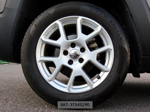 Jeep RENEGADE 2019-07 8036116-12