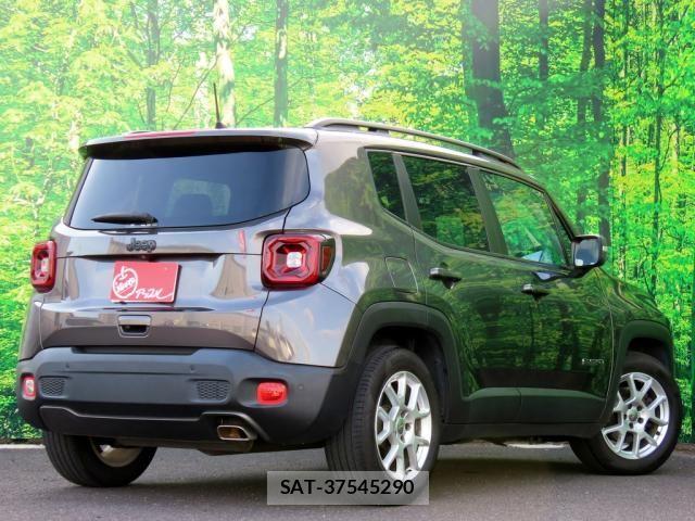 Jeep RENEGADE 2019-07 8036116-1