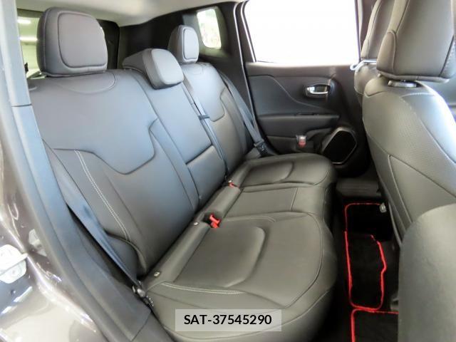 Jeep RENEGADE 2019-07 8036116-22