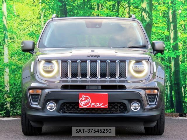 Jeep RENEGADE 2019-07 8036116-2