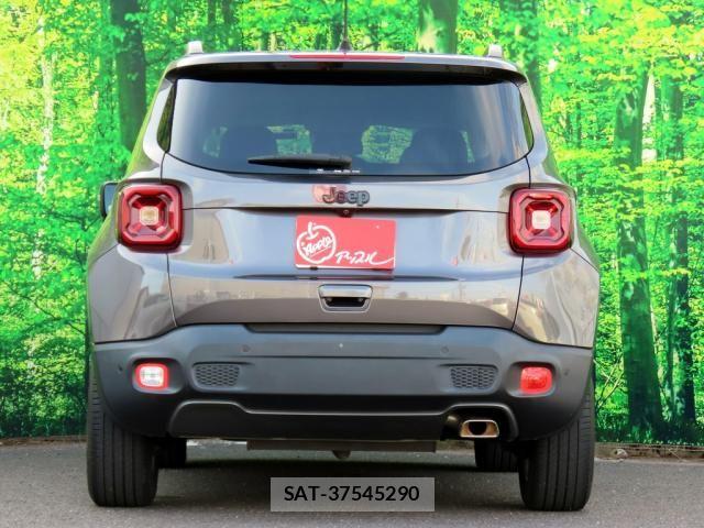 Jeep RENEGADE 2019-07 8036116-3
