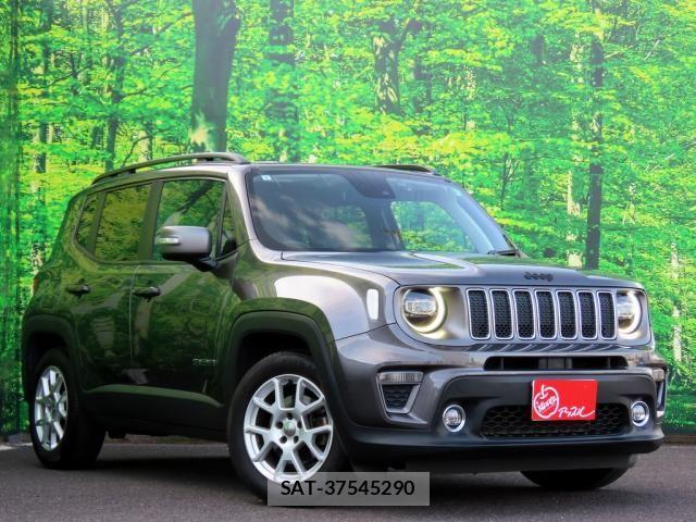 Jeep RENEGADE 2019-07 8036116-6
