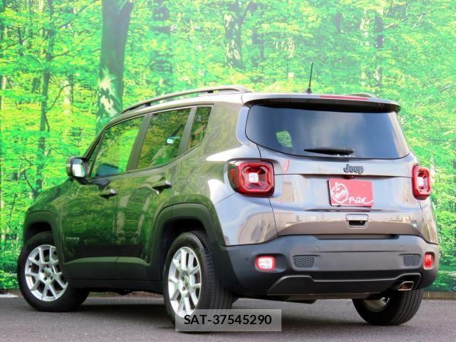 Jeep RENEGADE 2019-07 8036116-7