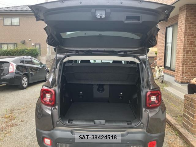 Jeep RENEGADE 2020-12 8074139-9