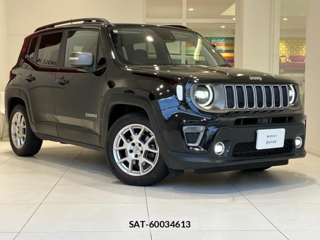 Jeep RENEGADE 2022-05 8130684-21