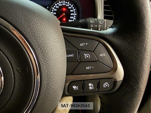 Jeep RENEGADE 2023-06 8130685-19